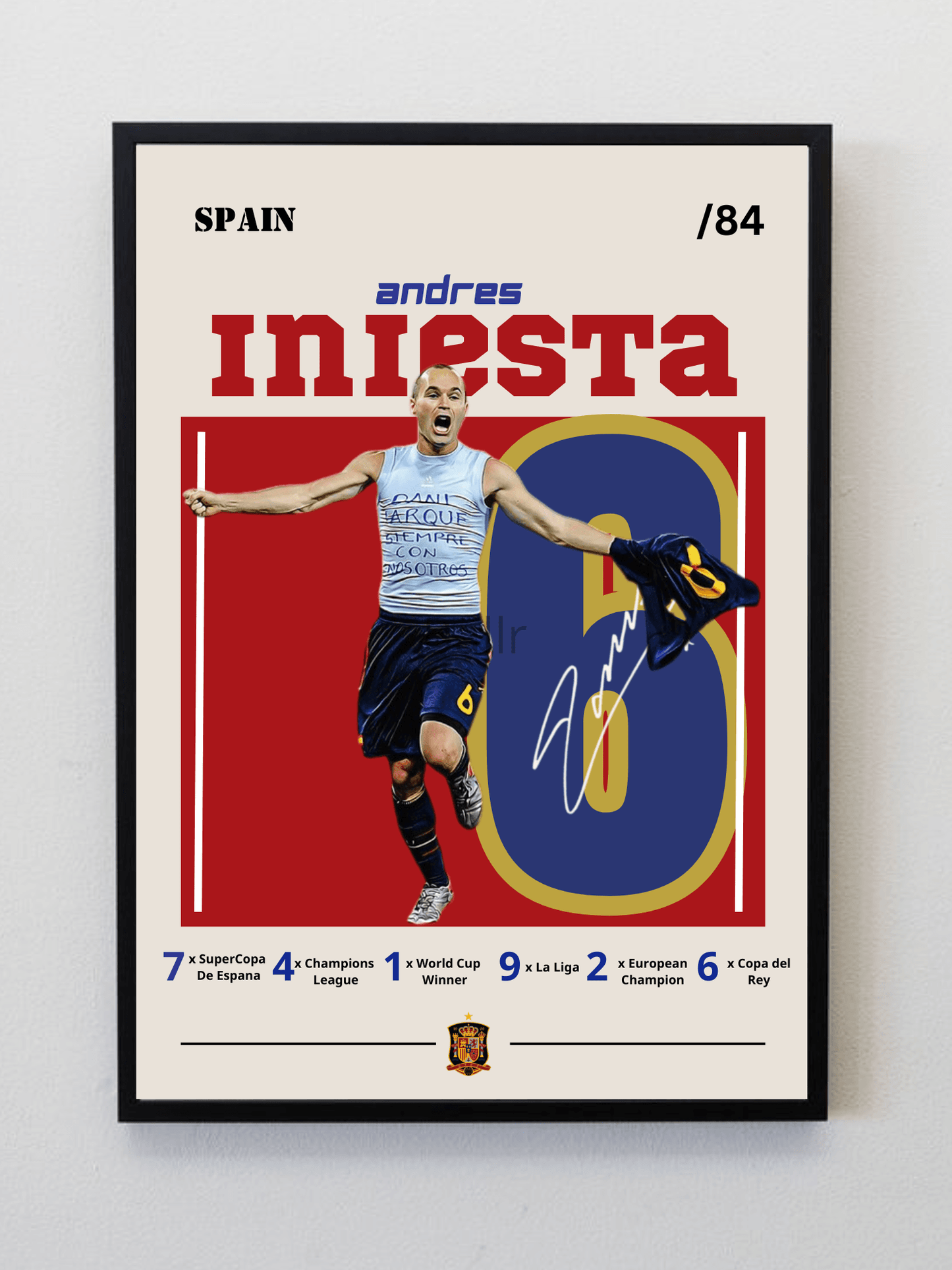 Andres Iniesta WC 2010 Final Goal