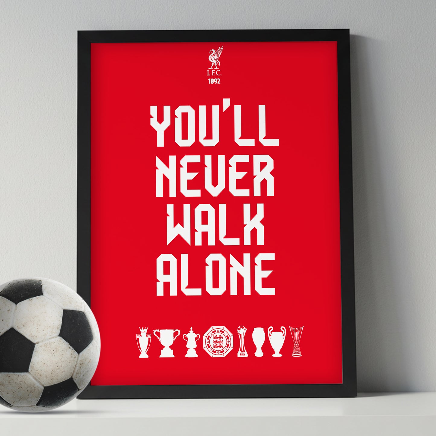 You Will Never Walk Alone